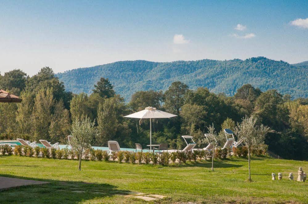 Agriturismo La Collina Del Sole Coltavolino Eksteriør bilde