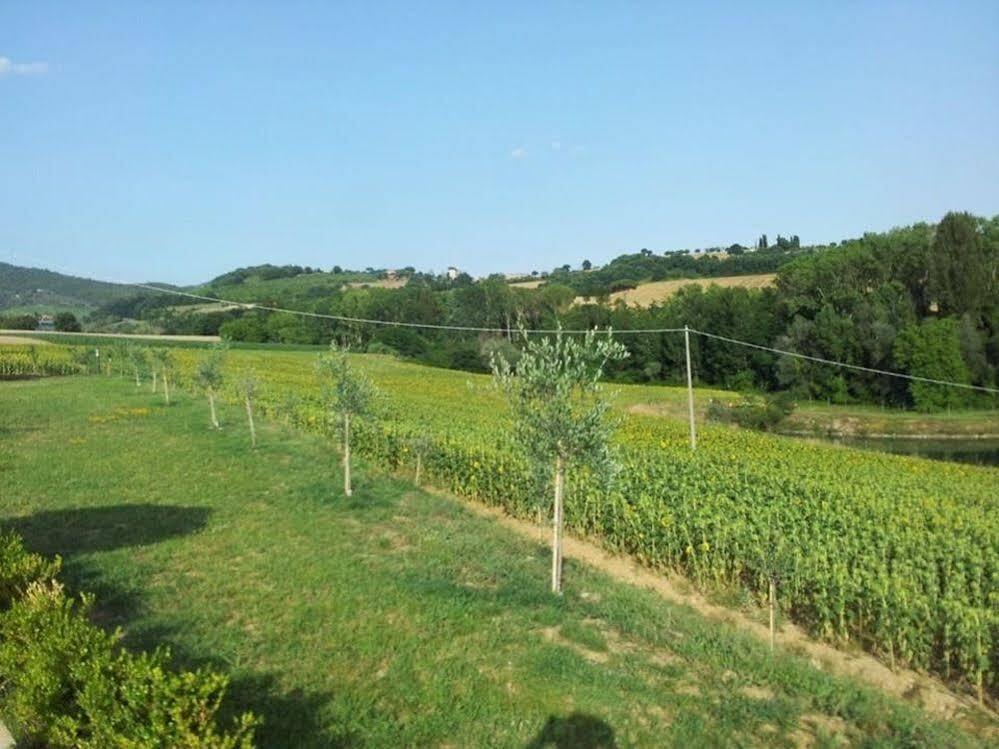 Agriturismo La Collina Del Sole Coltavolino Eksteriør bilde